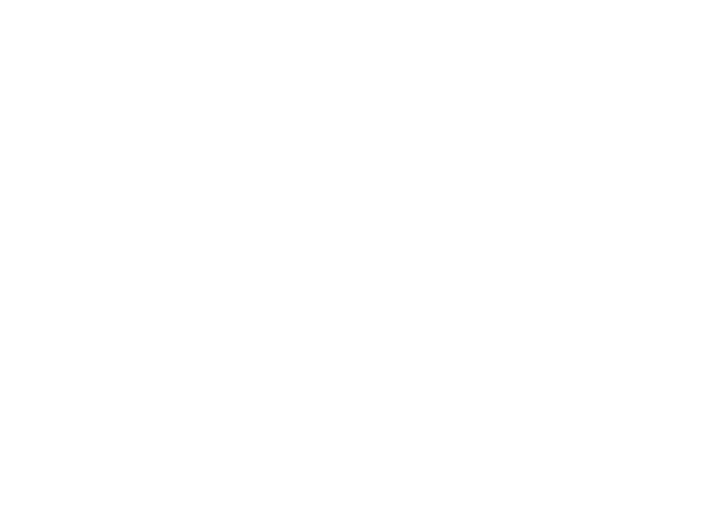 Bird background